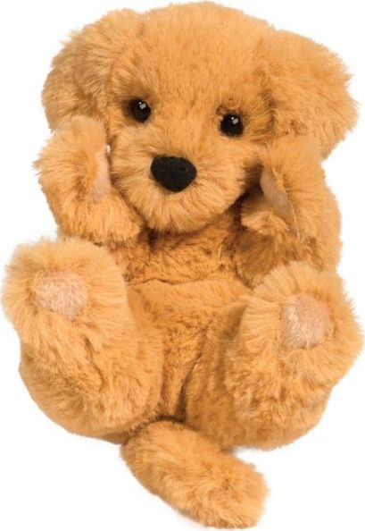 Gold Ret Puppy Handful