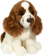 Chip Springer Spaniel