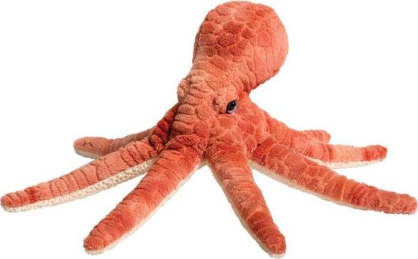 Barnacle Whale Shark