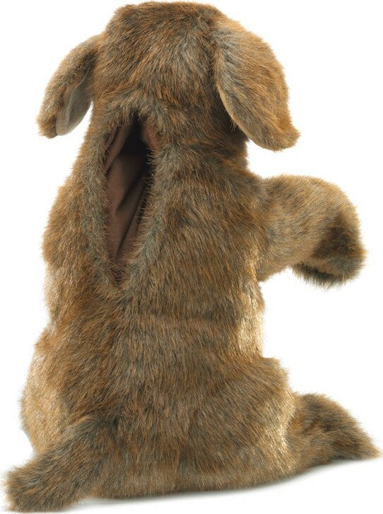 Dog, Sitting Hand Puppet