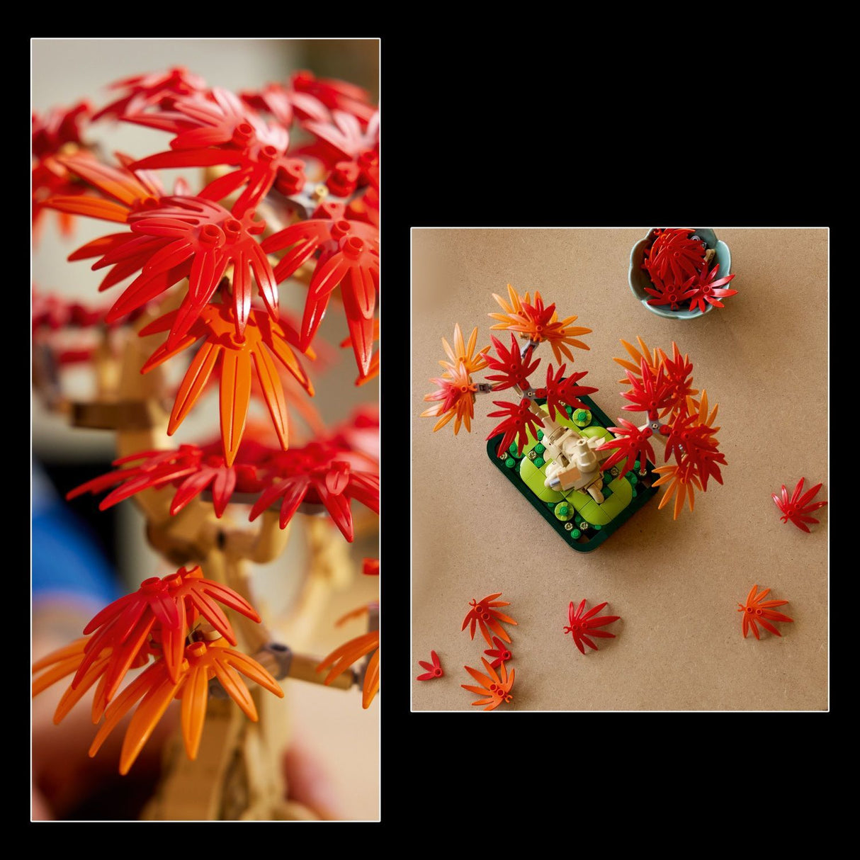 LEGO Botanicals: Japanese Red Maple Bonsai Tree
