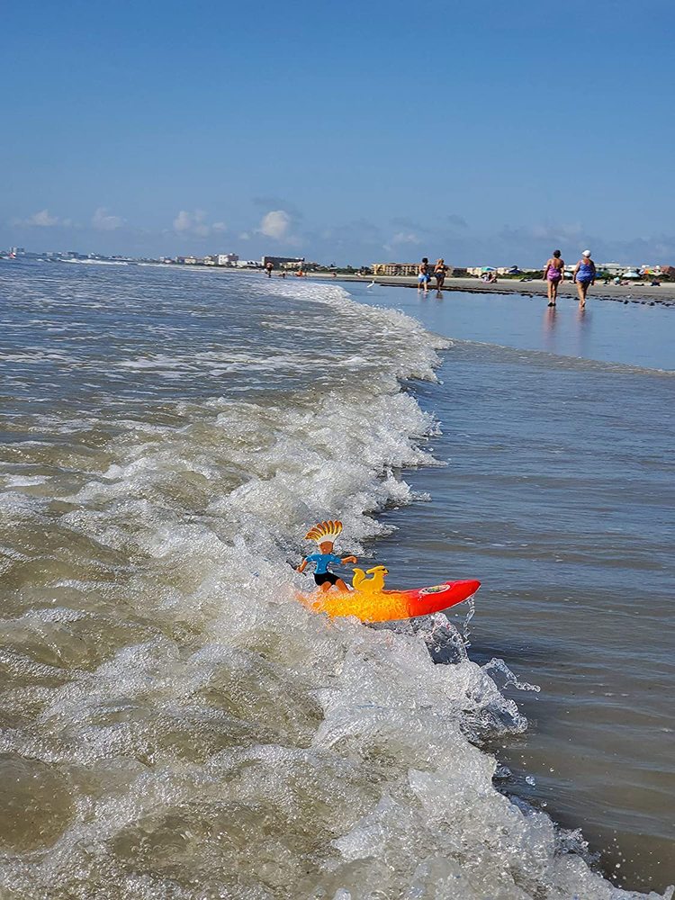 Surfer Dudes with Pets Assorted