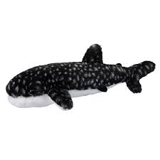 Barnacle Whale Shark