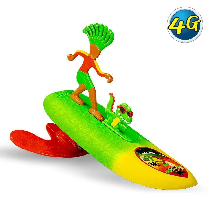 Surfer Dudes with Pets Assorted