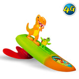 Surfer Dudes with Pets Assorted