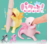 Axolotl Wooper Looper Blind Box 
