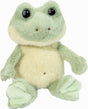 Flip Frog