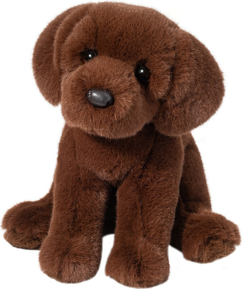 Zoom Chocolate Lab – Geppetto's Toys