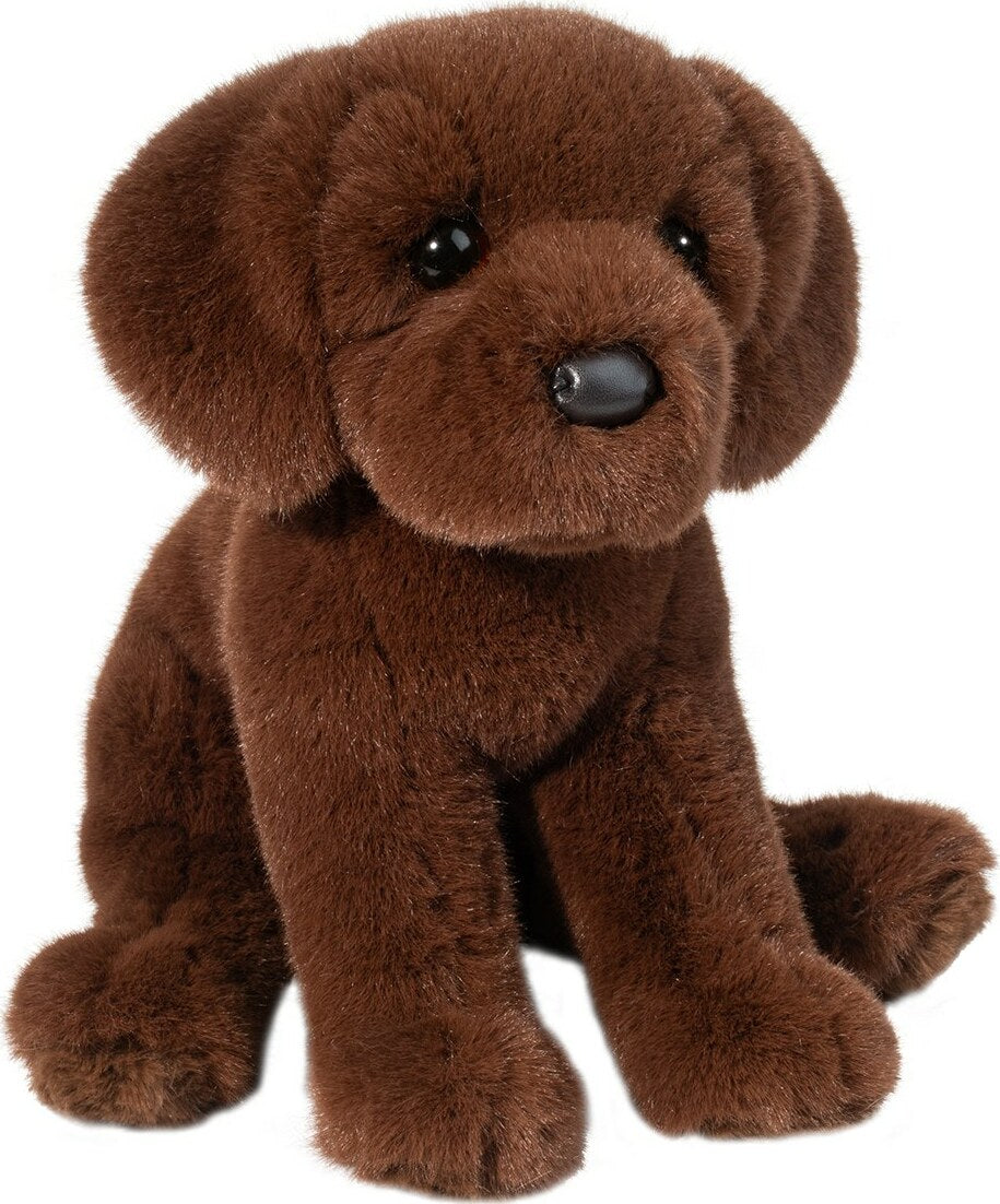 Zoom Chocolate Lab – Geppetto's Toys