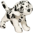 Evie Dalmatian