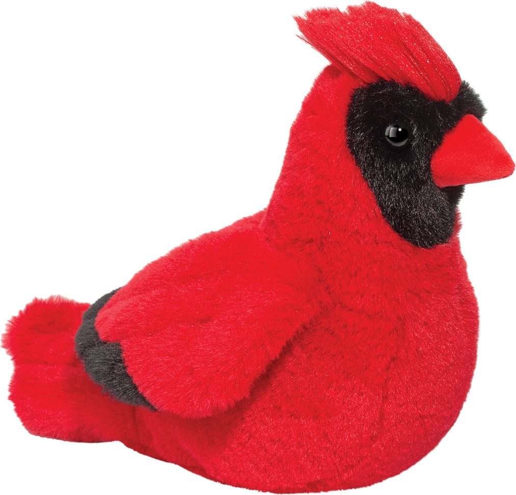 Carlie Cardinal Soft
