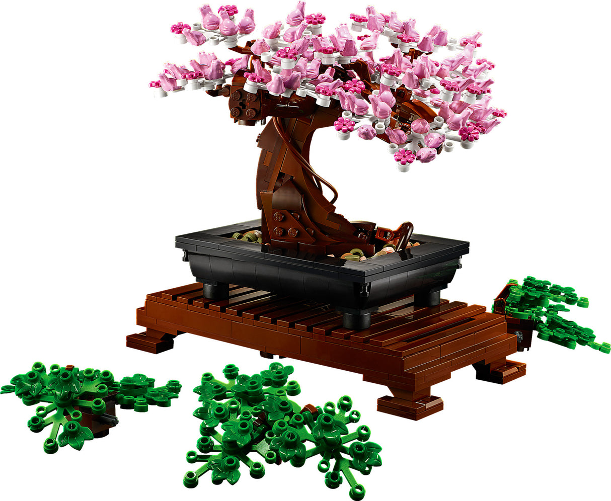 Bonsai Tree