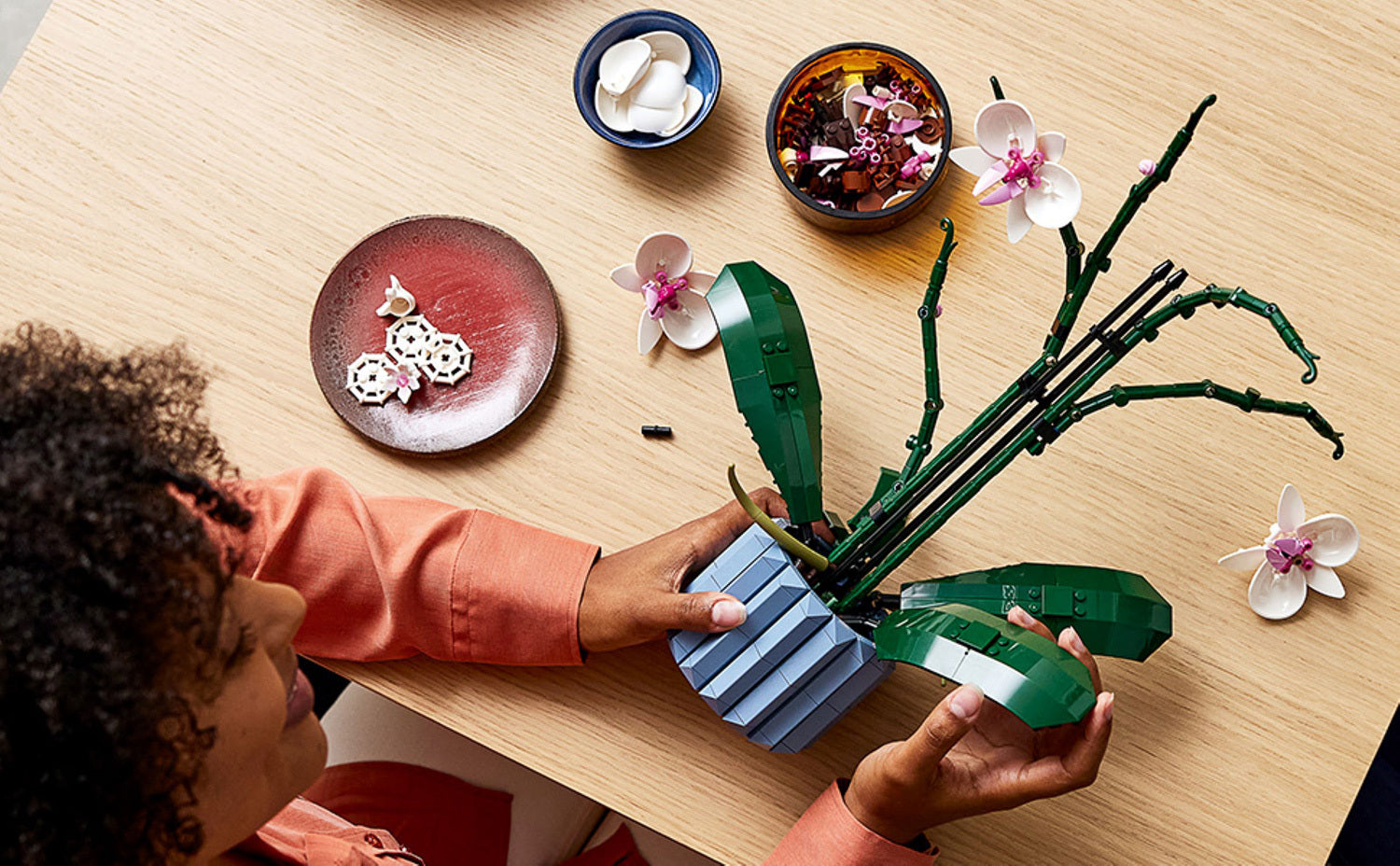 Orchid – Geppetto's Toys