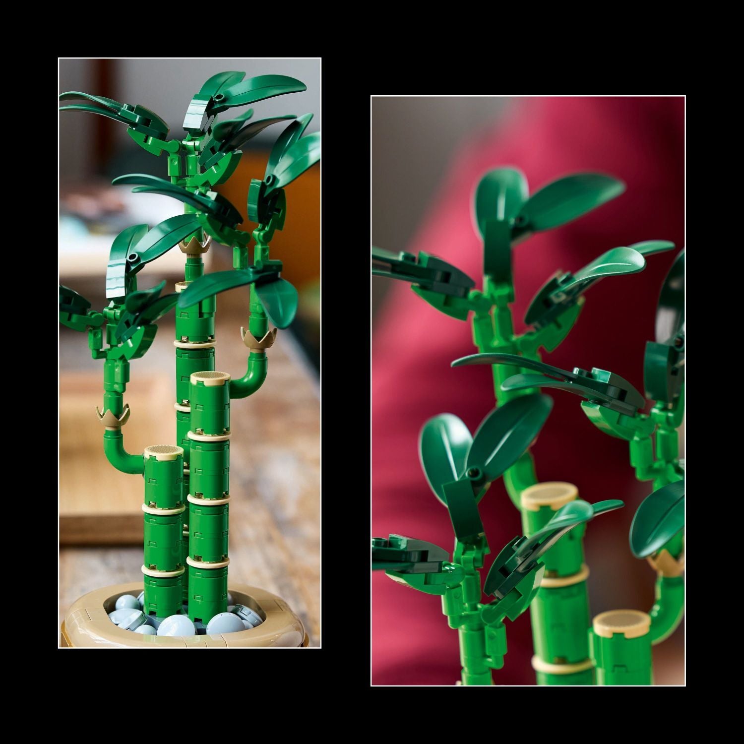LEGO Botanicals: Lucky Bamboo – Geppetto's Toys