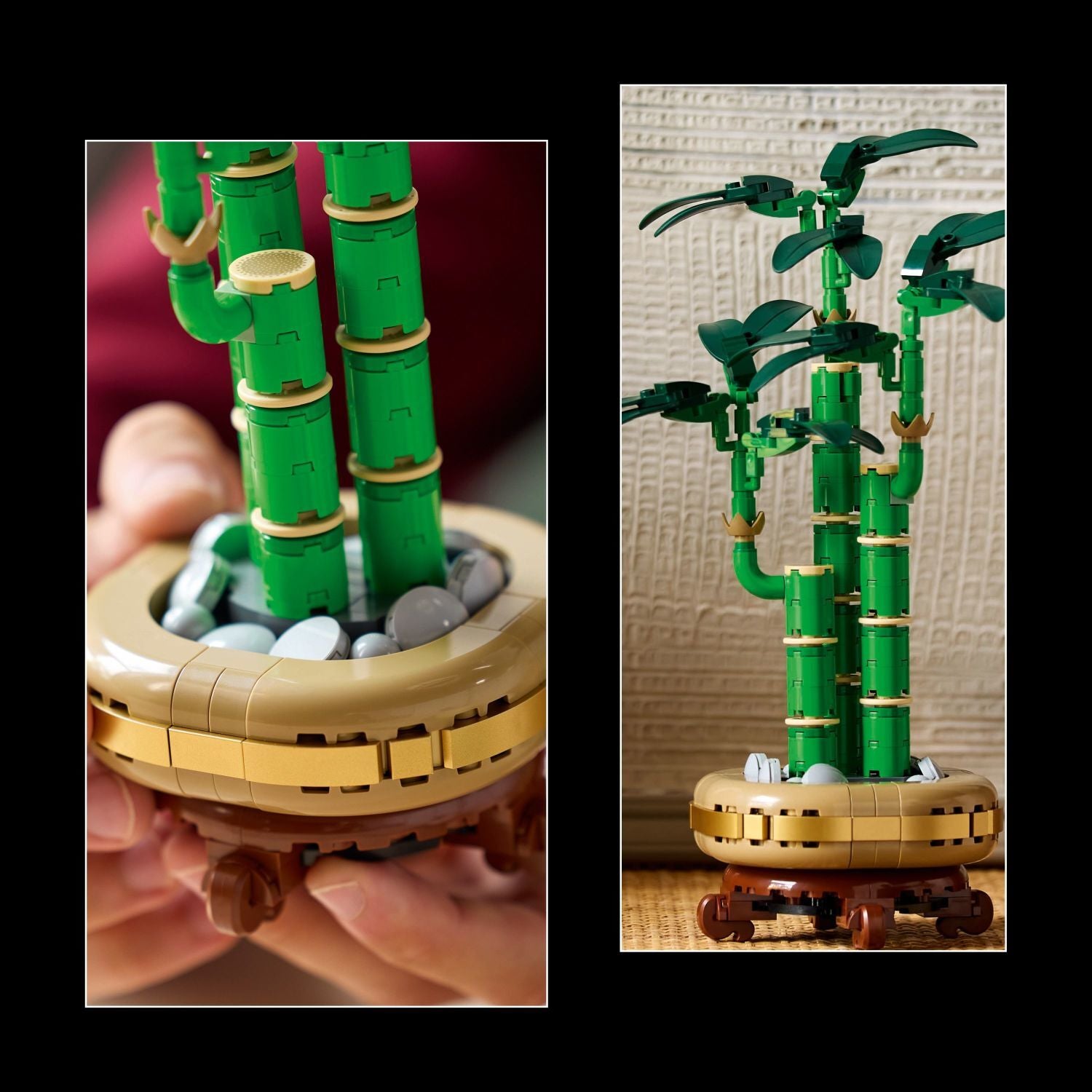 LEGO Botanicals: Lucky Bamboo – Geppetto's Toys