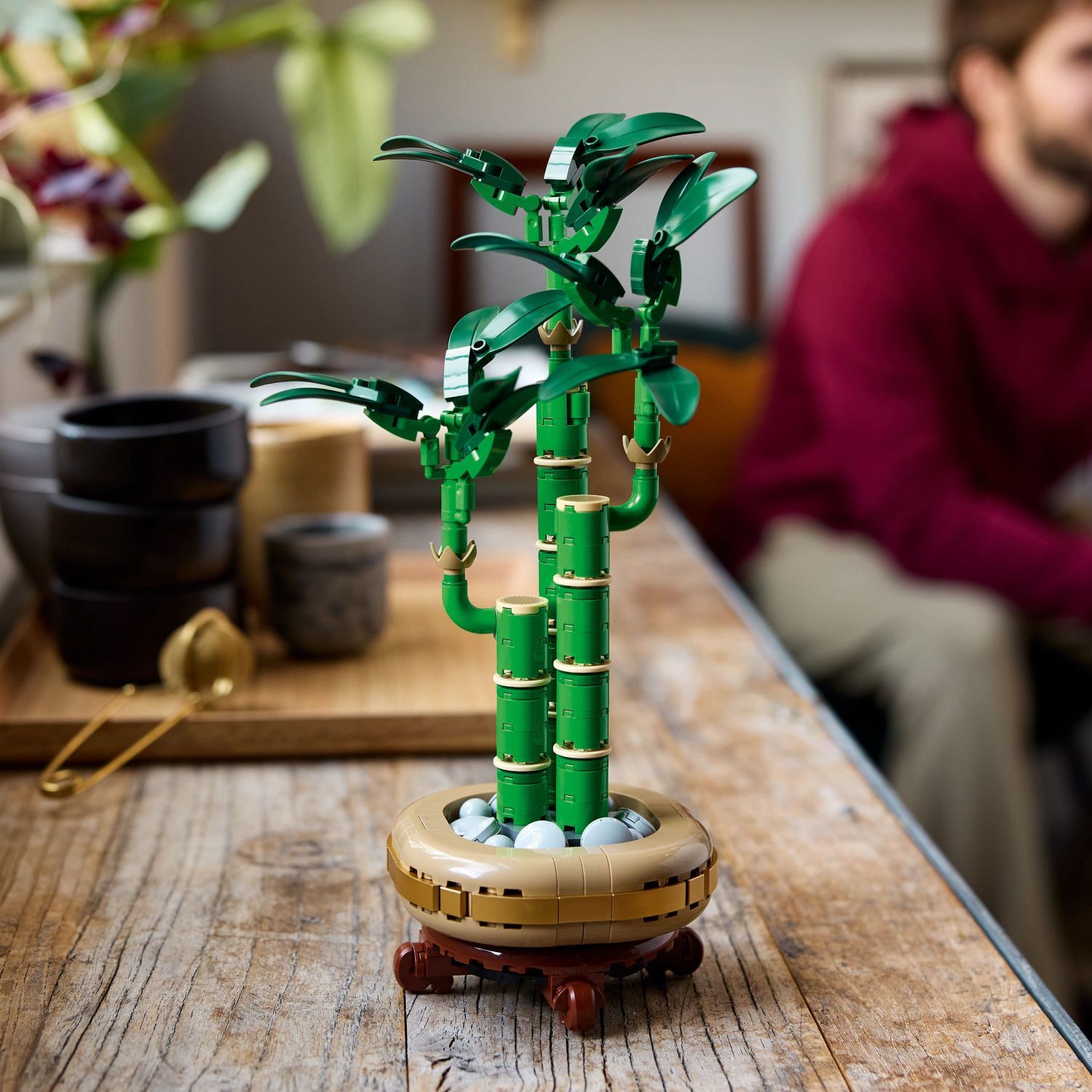 house plant lego LEGO 10344 Botanicals Lucky Bamboo