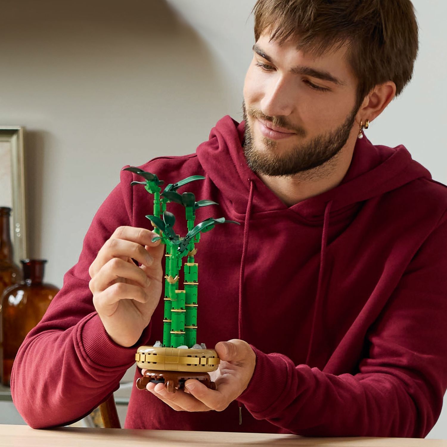 lucky bamboo kit LEGO 10344 Botanicals Lucky Bamboo