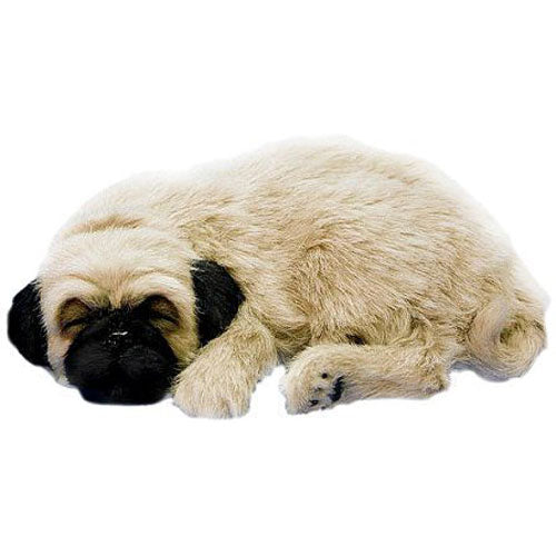 Perfect Petzzz Huggable Pug Puppy – Geppetto's Toys