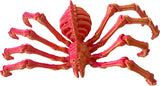 Twiddle Spider