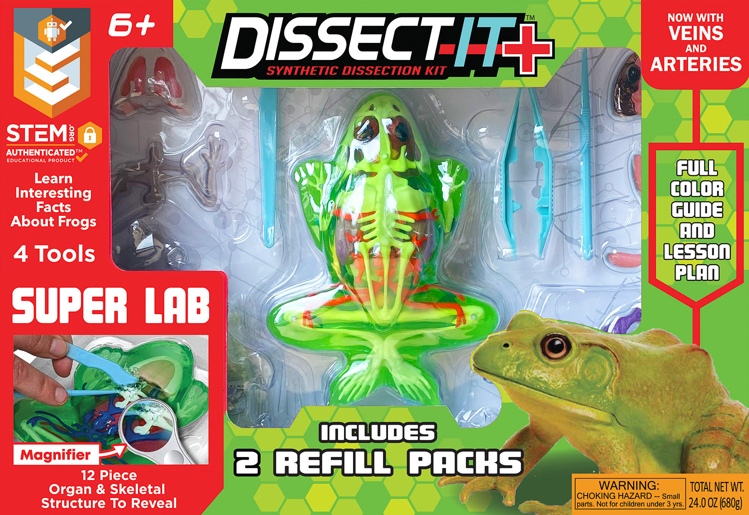 Dissect-It - Frog Super Lab – Geppetto's Toys