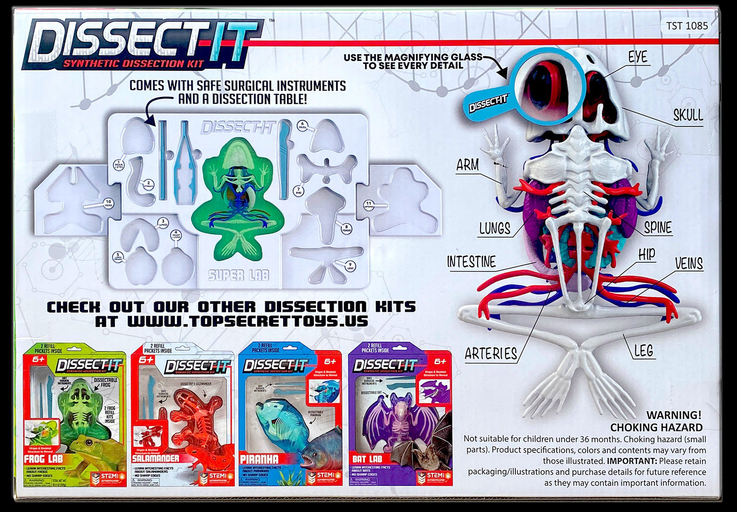 Dissect-It - Frog Super Lab – Geppetto's Toys
