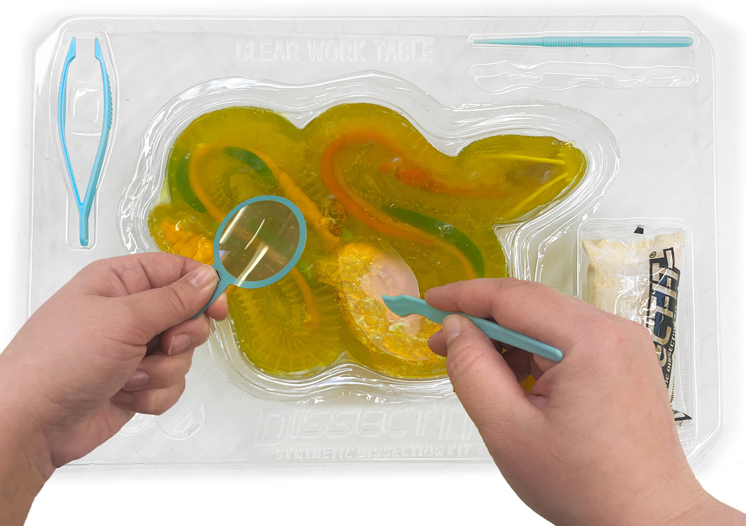 Dissect-It+ Rattlesnake Super Lab Kit – Geppetto's Toys