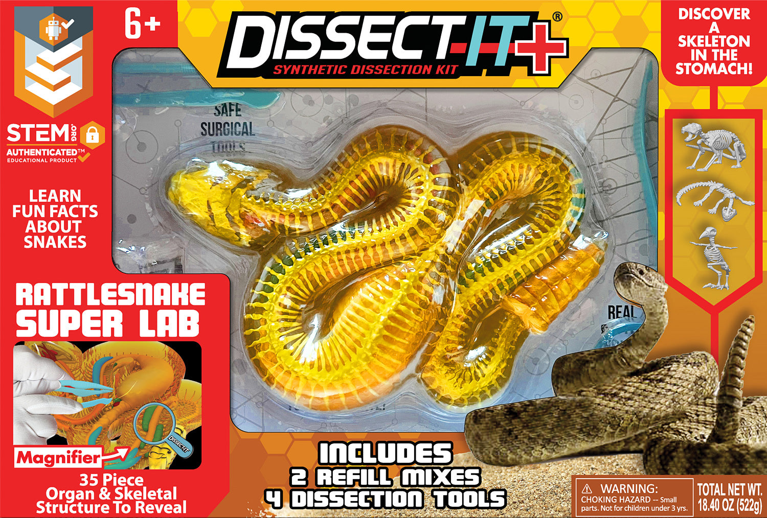 Dissect-It+ Rattlesnake Super Lab Kit – Geppetto's Toys