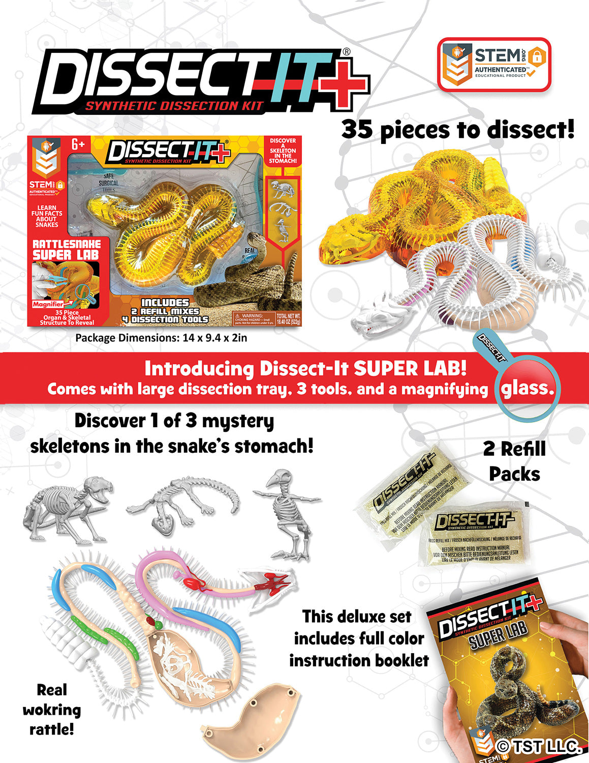 Dissect-It+ Rattlesnake Super Lab Kit – Geppetto's Toys