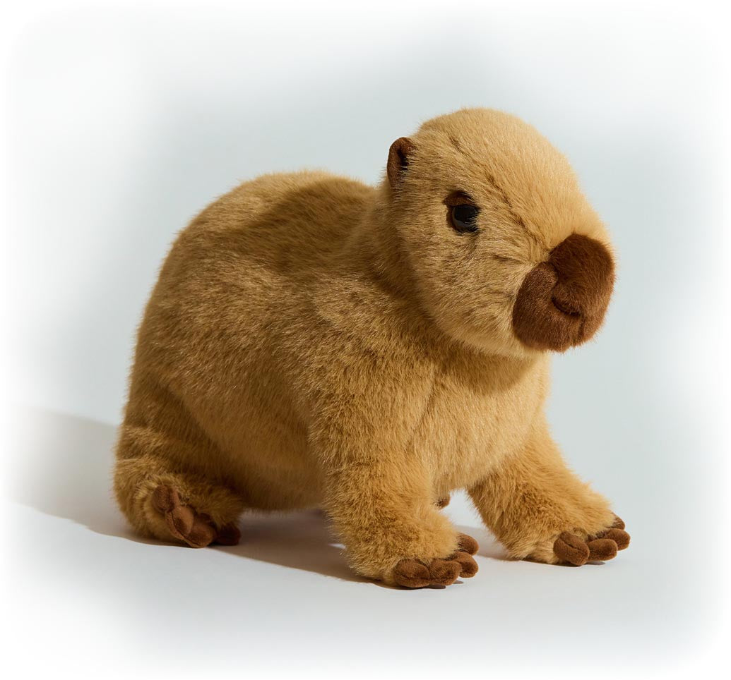 Chattie Capybara Soft