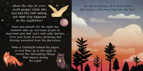 Nighttime A Shine-A-Light Book