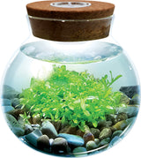 WaterPlants - Create Your Own Aquascape