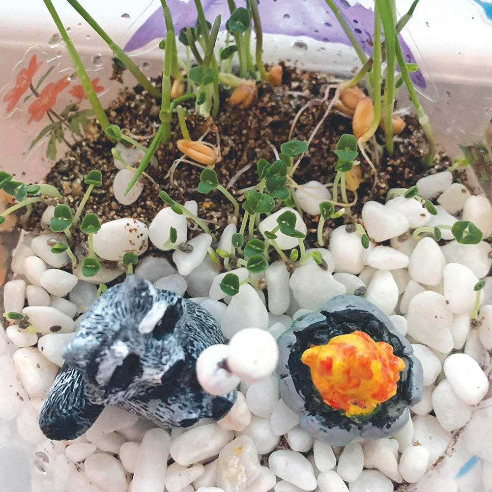 Grow N Glow Terrarium